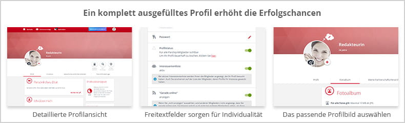 Das Profil im Detail